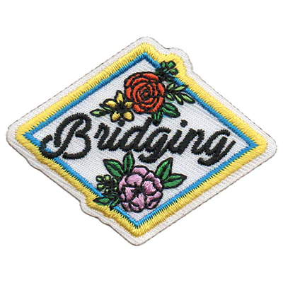 12 Pieces-Bridging Patch-Free shipping